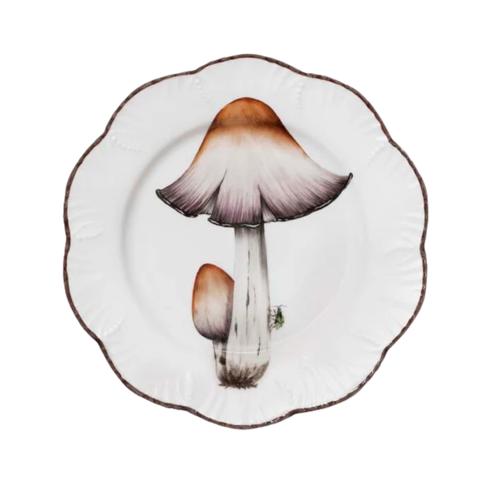 Pinto, Les champignons, Dinner plate