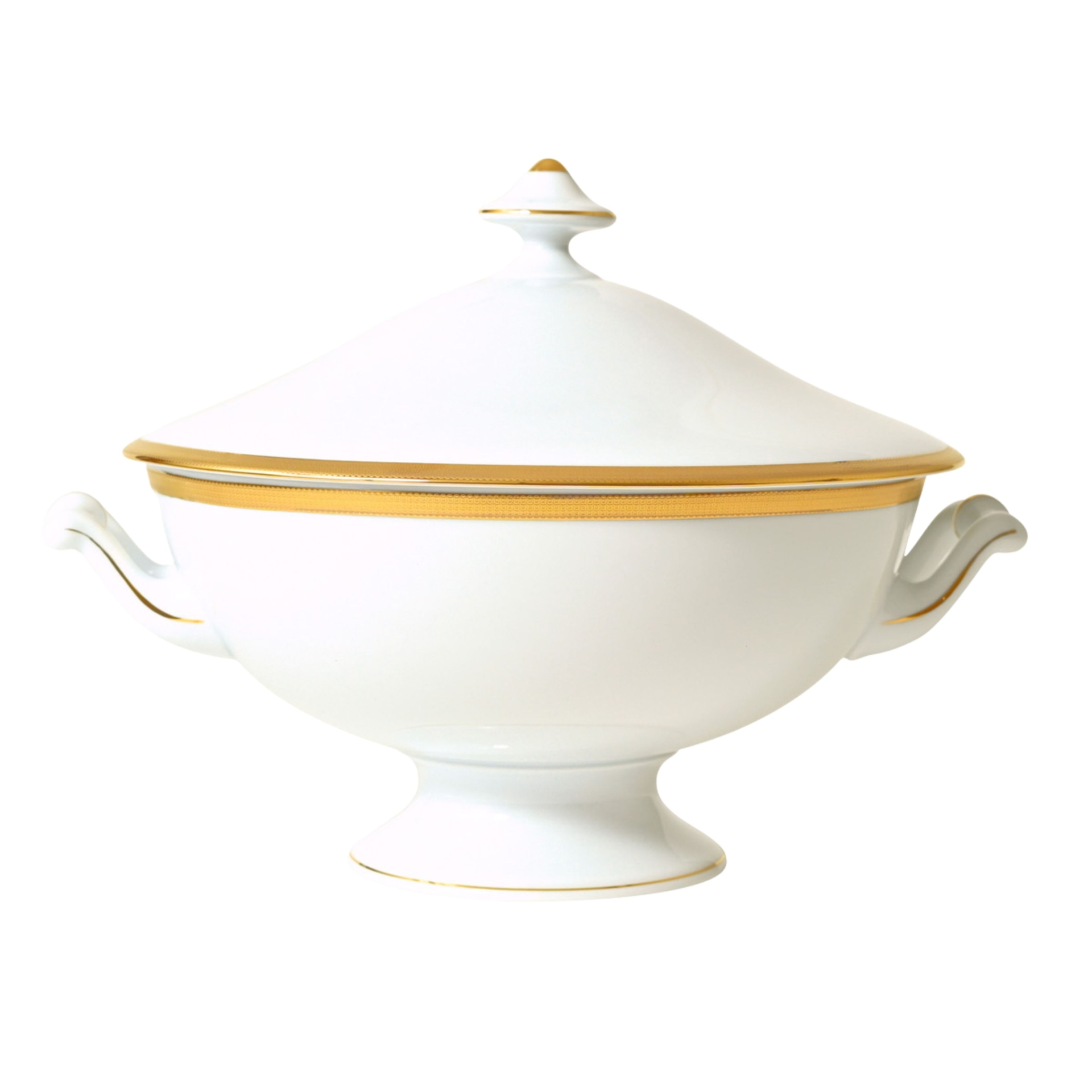 Haviland, Opéra gold, Soup tureen