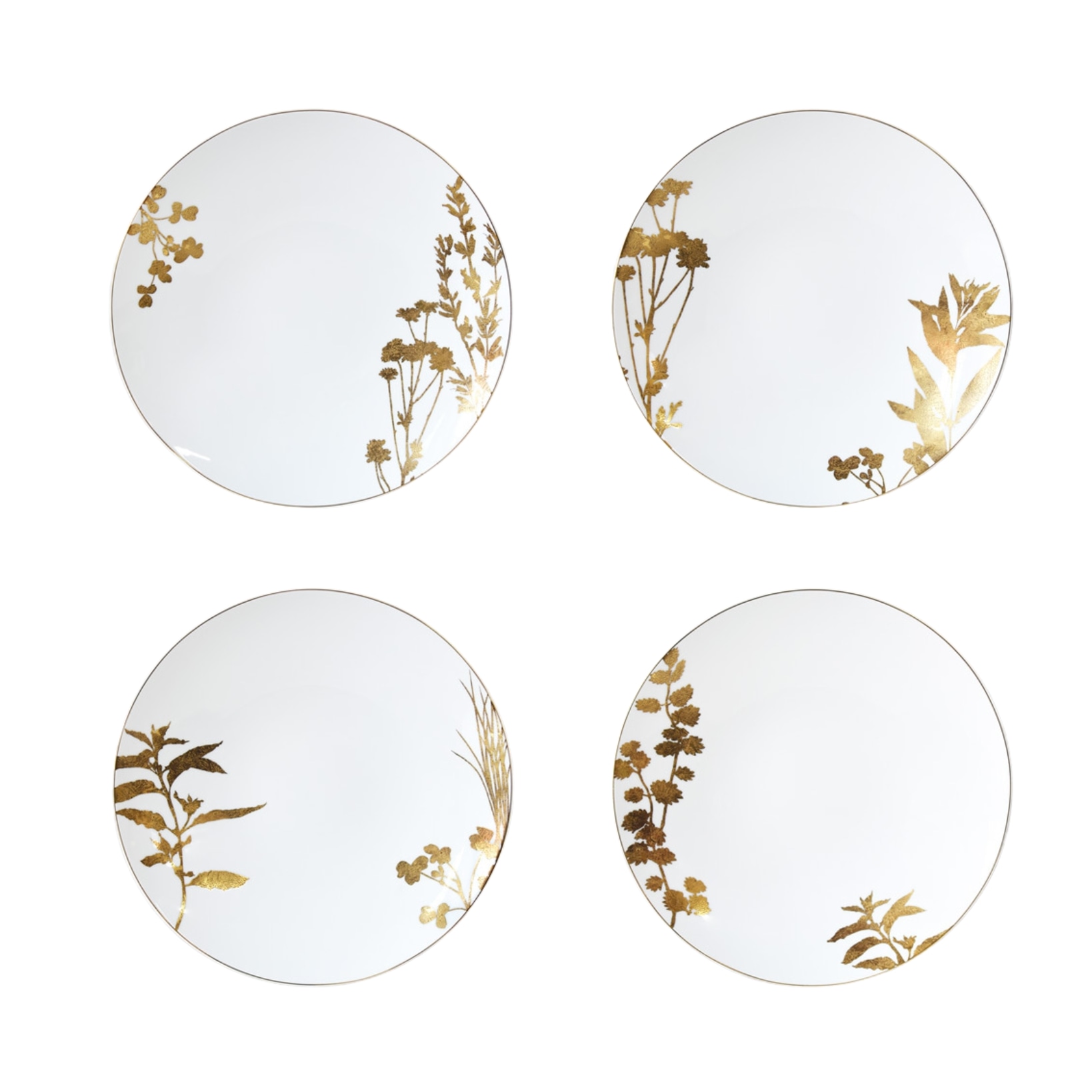 Bernardaud, Vegetal Gold, Dinner plates, set of 4