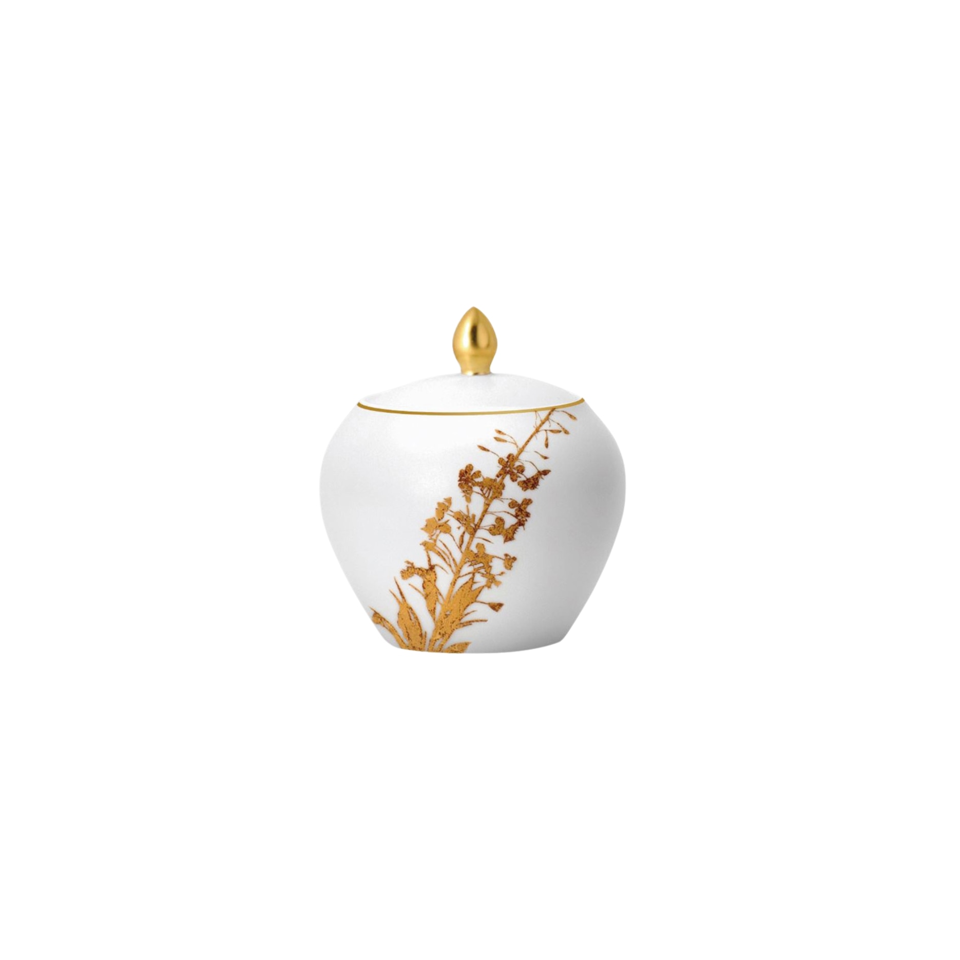 Bernardaud, Vegetal Gold, Sugar bowl