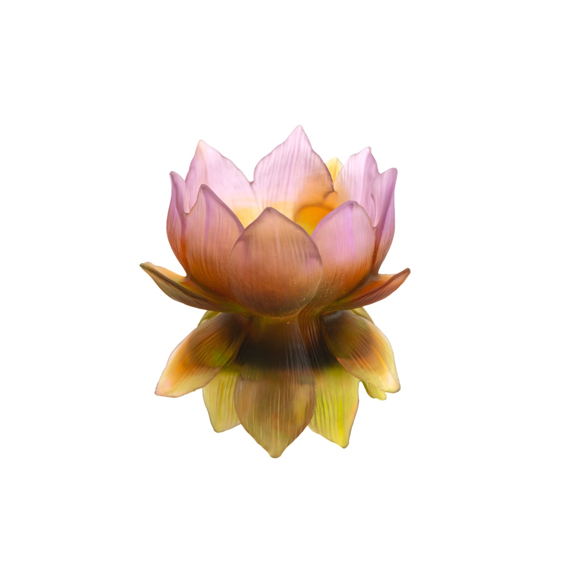 Daum, Jardin de Lotus, Medium vase, limited edition