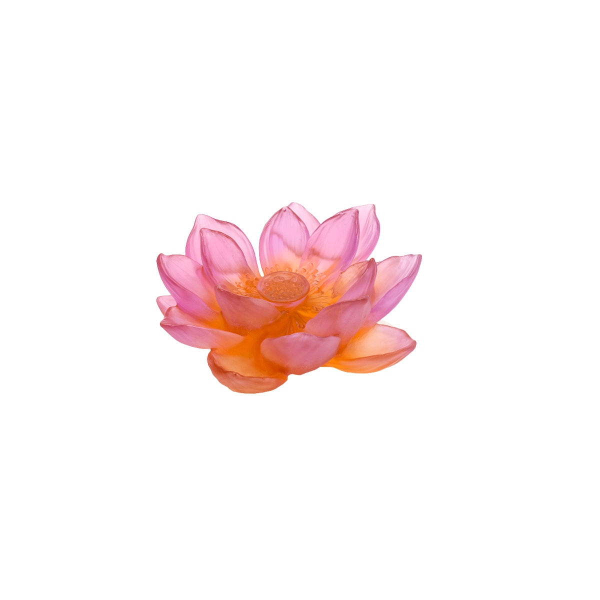 Daum, Jardin de Lotus, Decorative flower, amber pink