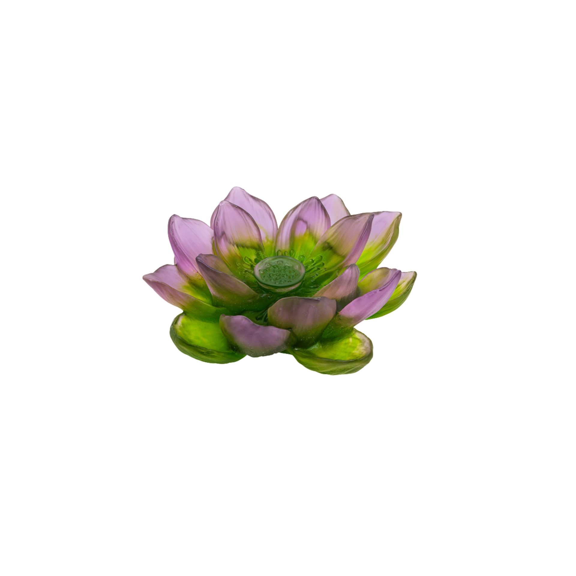 Daum, Jardin de Lotus, Decorative flower, green pink