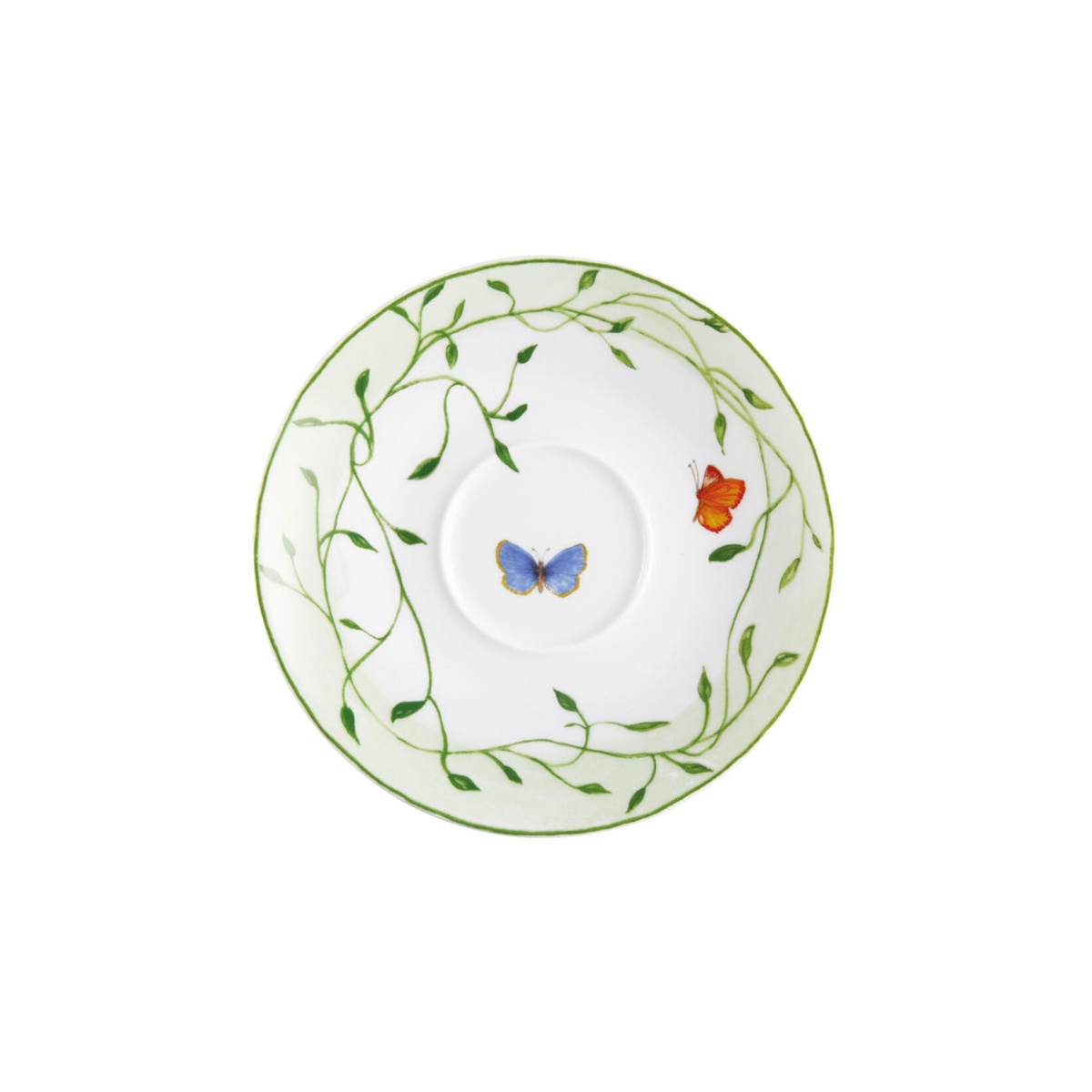 Raynaud, Histoire naturelle, Breakfast or cream soup saucer