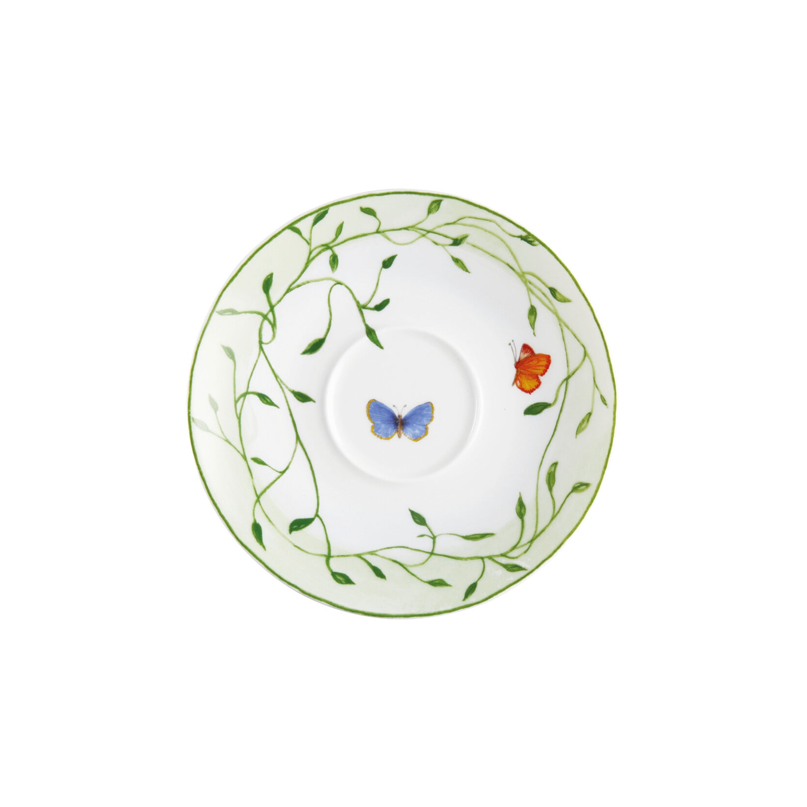 Raynaud, Histoire naturelle, Breakfast or cream soup saucer