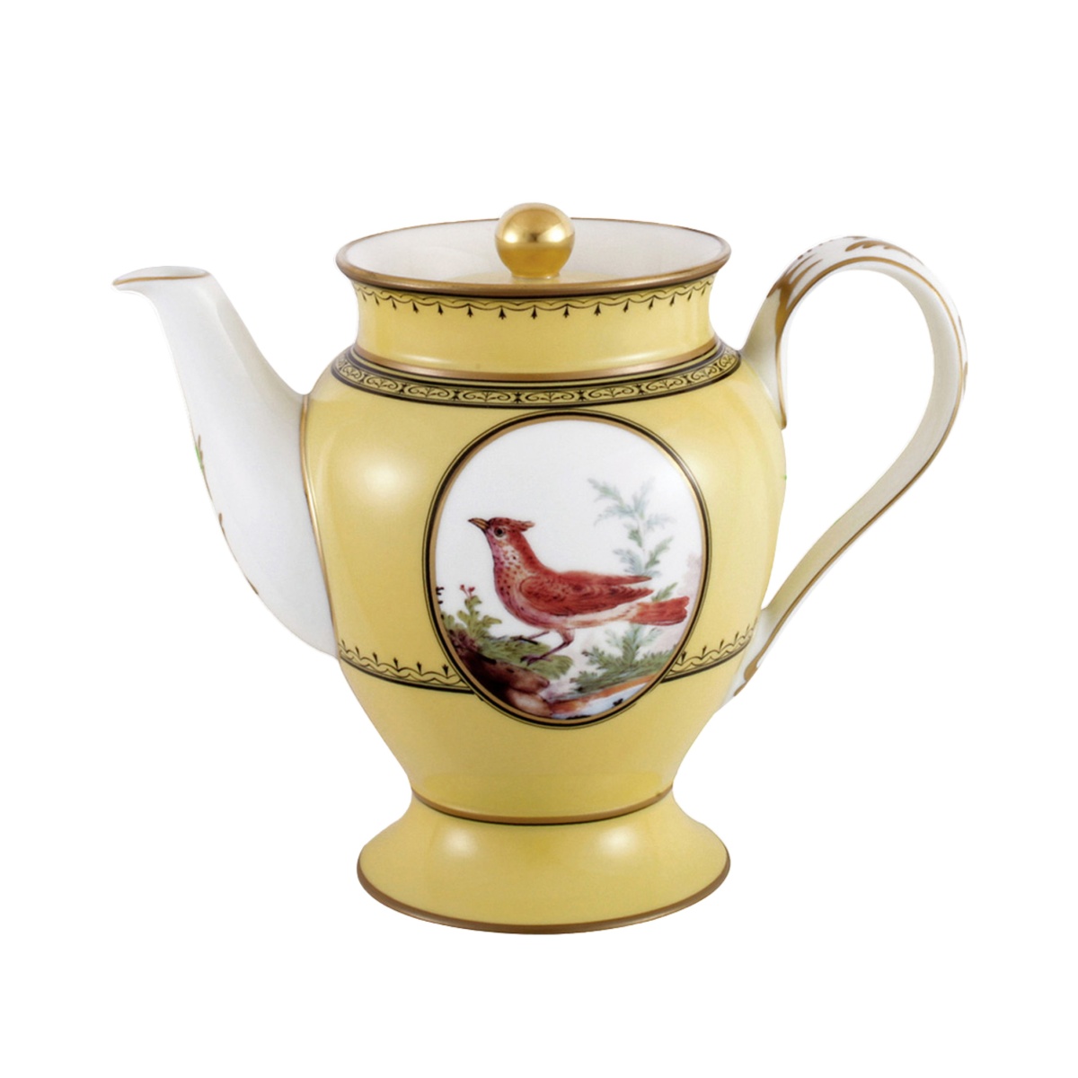 Bernardaud, Jardin du Roi, Coffee pot