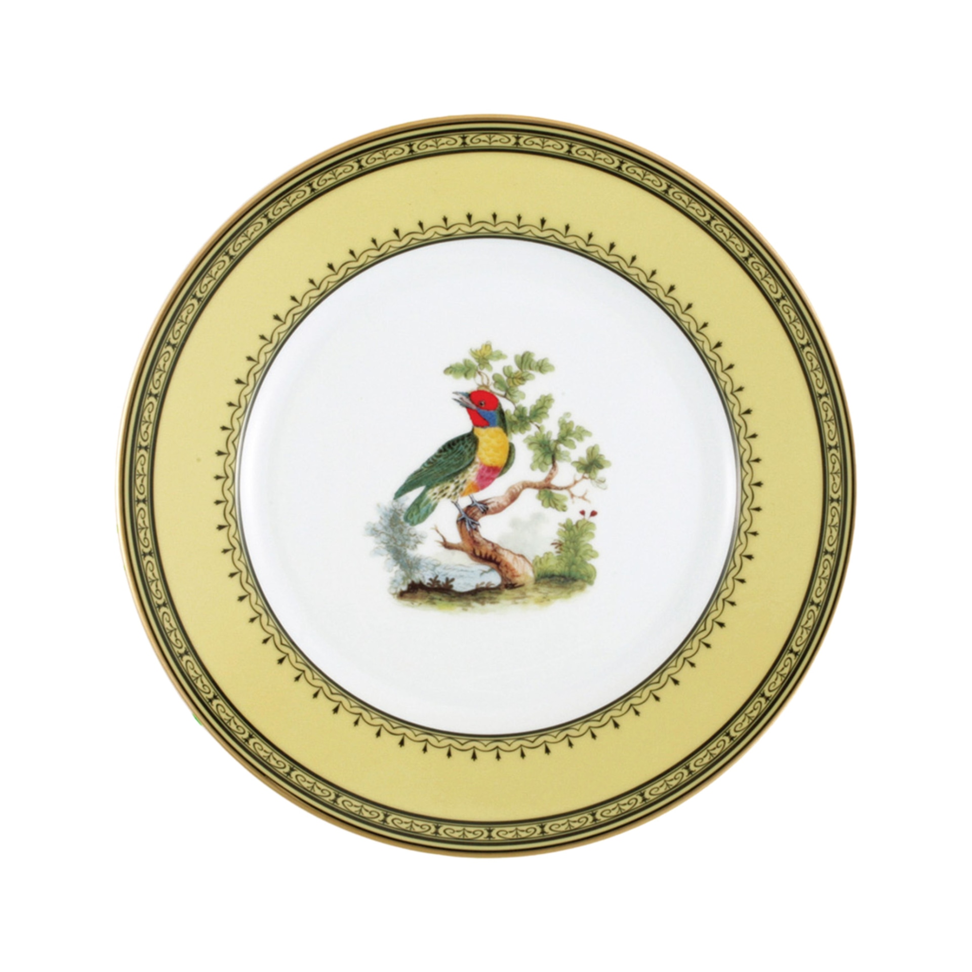 Bernardaud, Jardin du Roi, Dinner plate, versicolored barbet