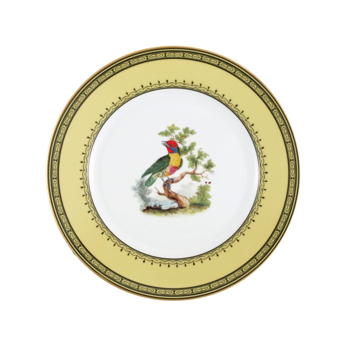 Bernardaud, Jardin du Roi, Salad plate, versicolored barbet