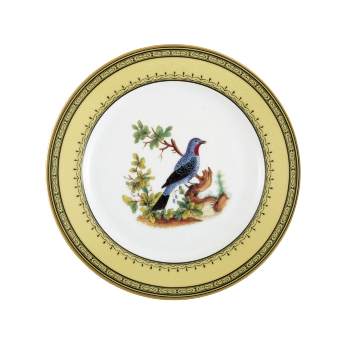 Bernardaud, Jardin du Roi, Dinner plate, spangled cotinga