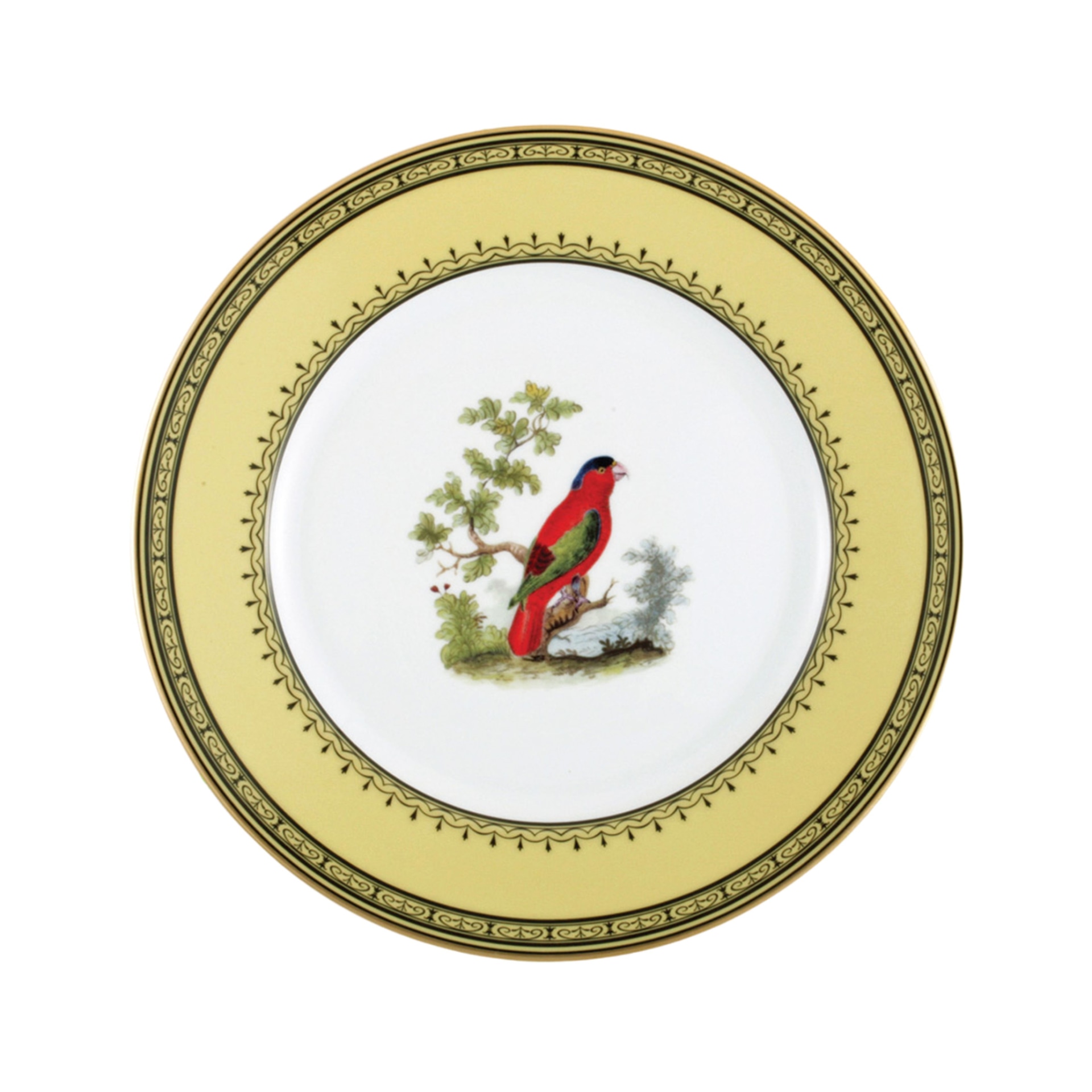 Bernardaud, Jardin du Roi, Dinner plate, lory of the east indies