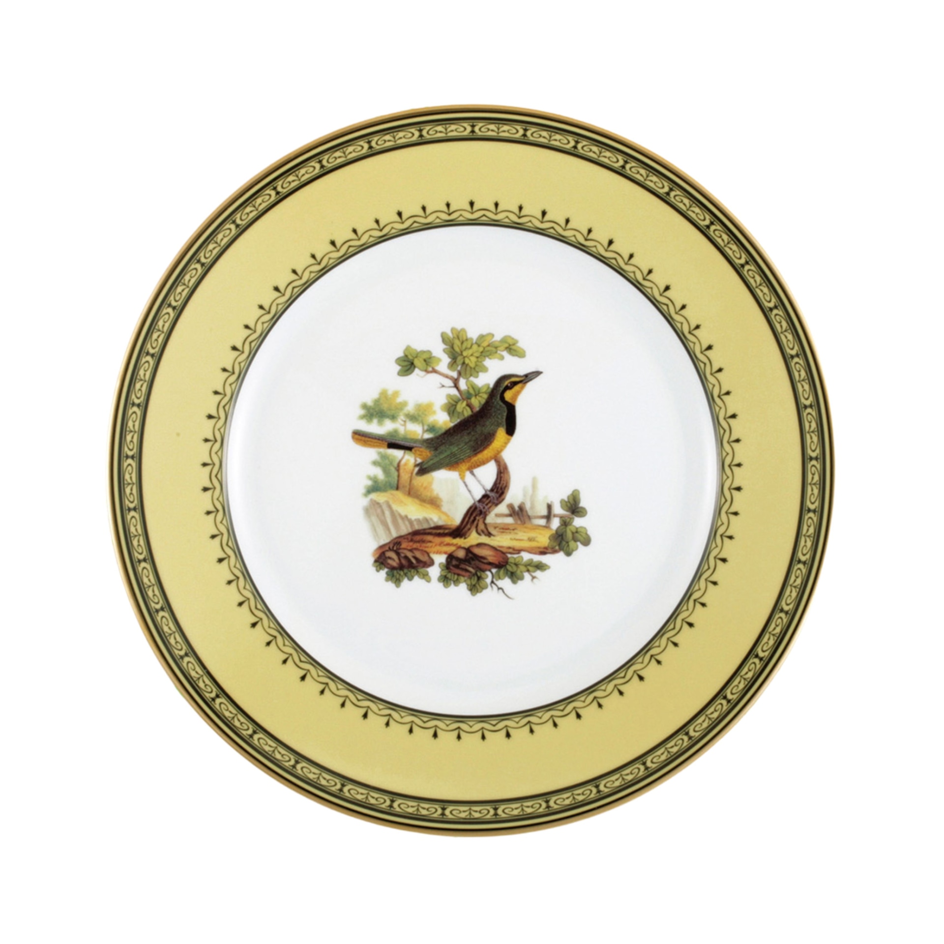 Bernardaud, Jardin du Roi, Dinner plate, olive thrush