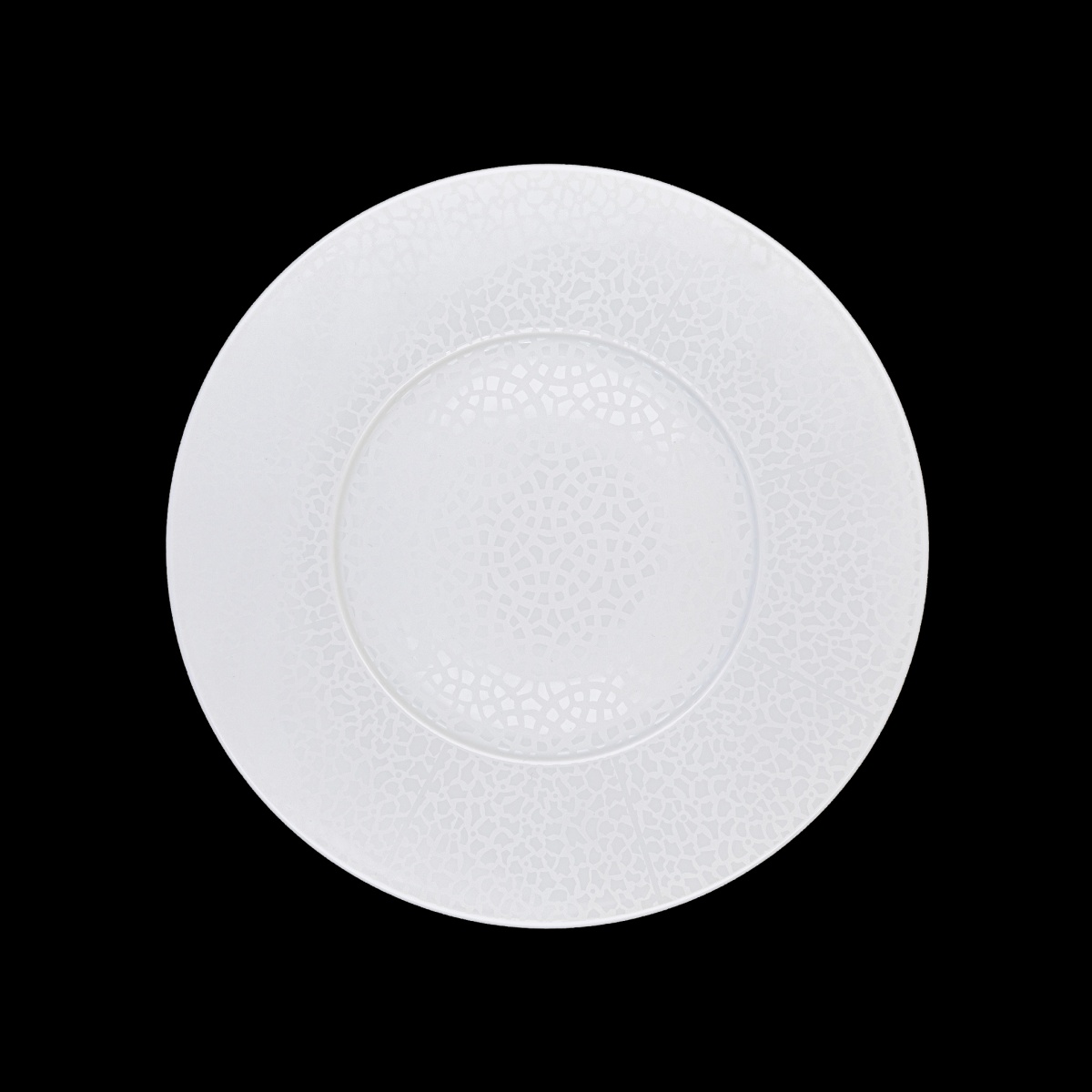 Robert Haviland & C. Parlon, Serengeti White, Presentation plate