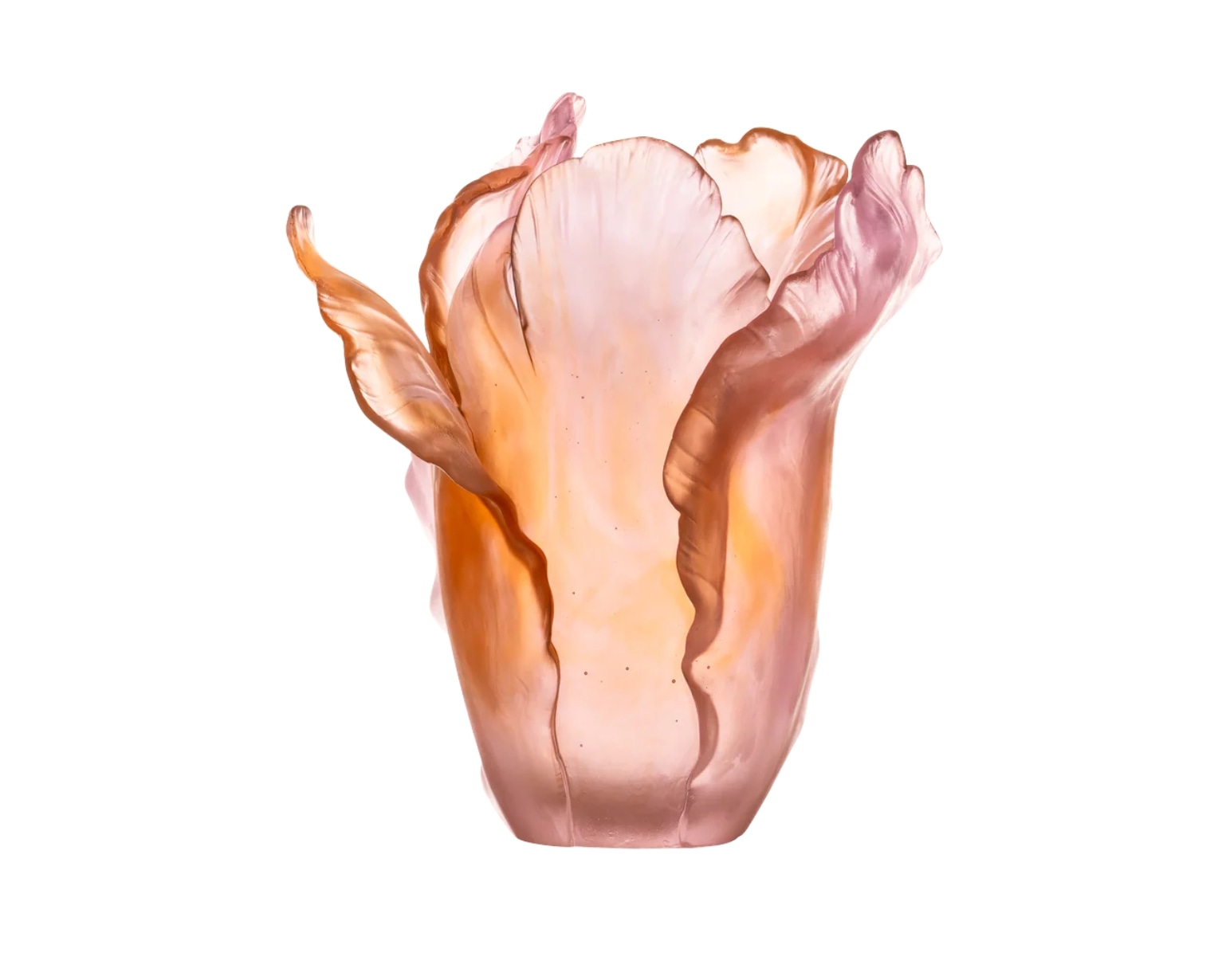Daum, Tulipe vases, Amber pink vase, large