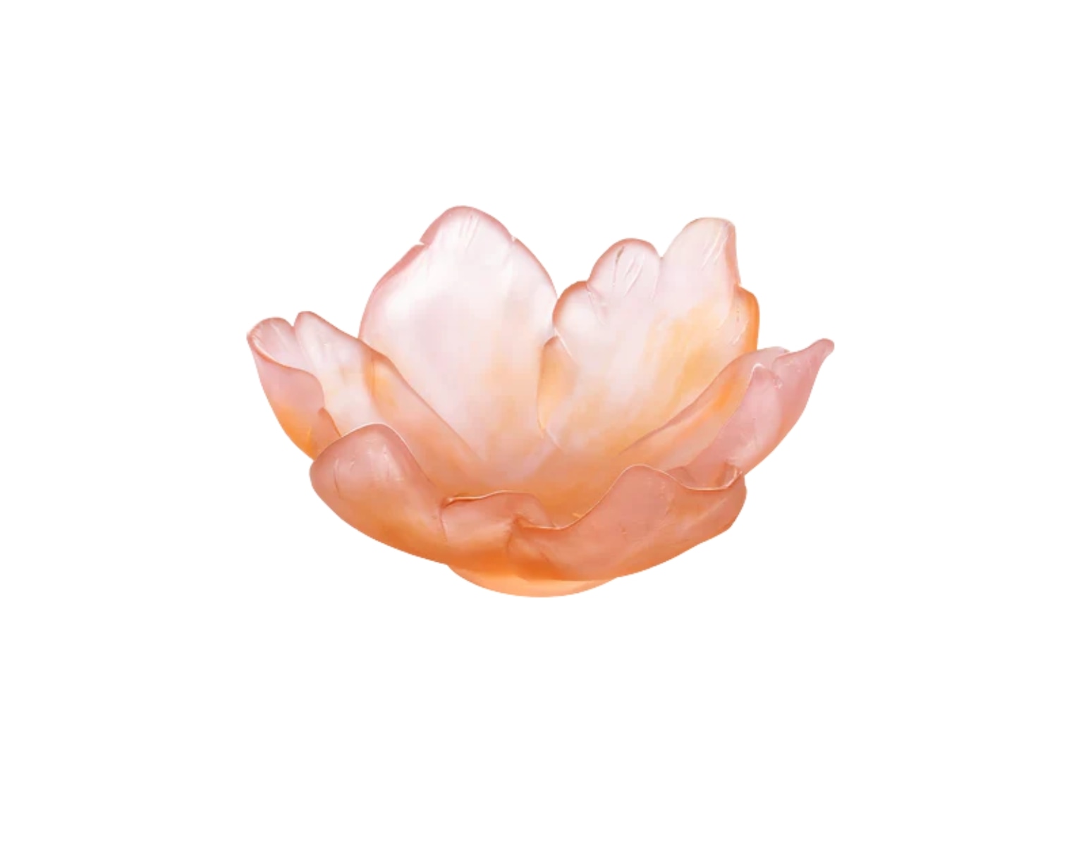 Daum, Tulipe bowls, Amber pink bowl, small