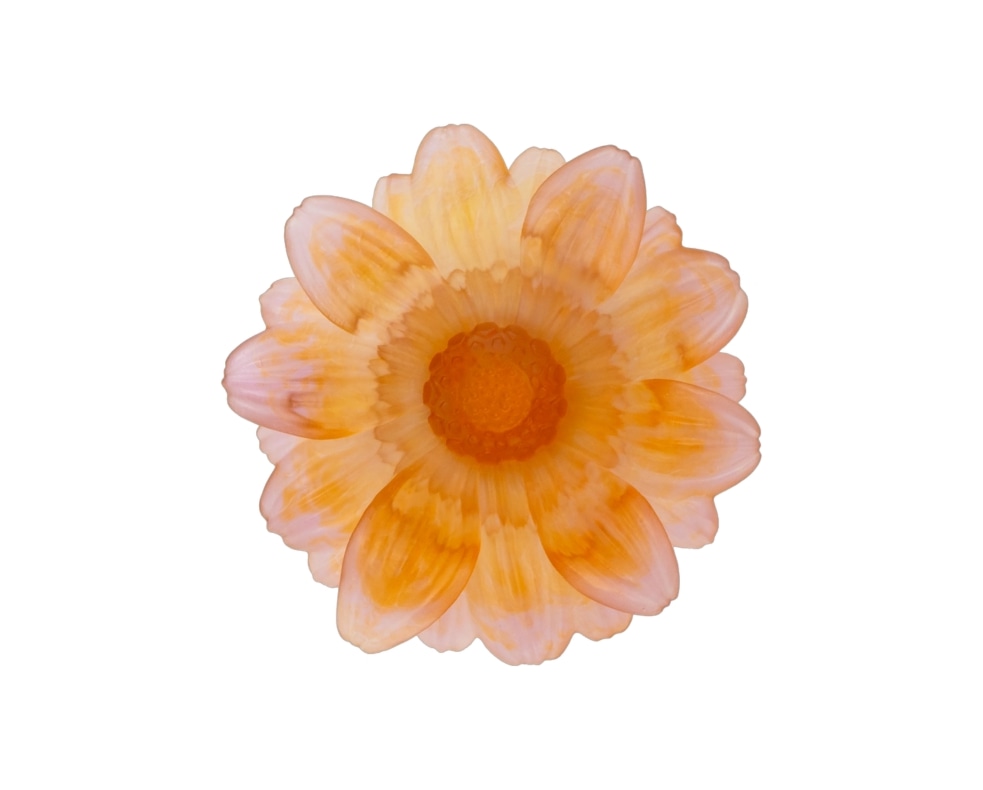 Daum, Or d'Abeille Tableware, Small presentation flower