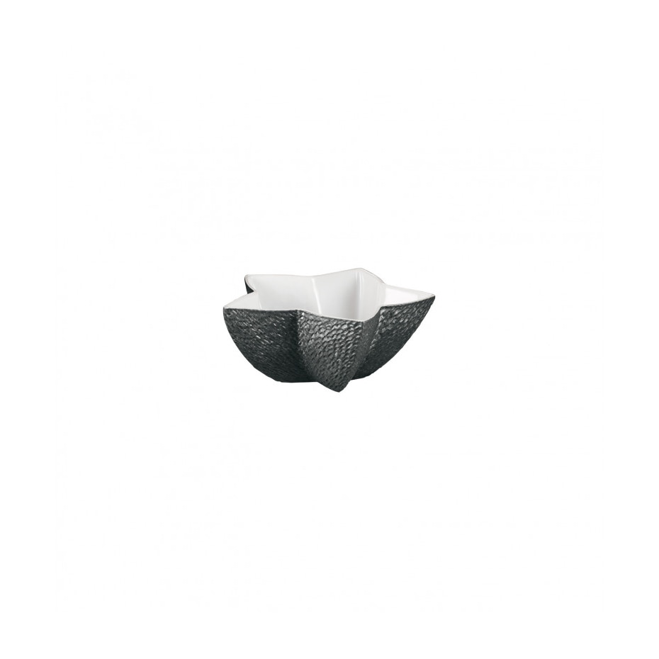 Raynaud, Minéral irisé Black, Star sugar bowl