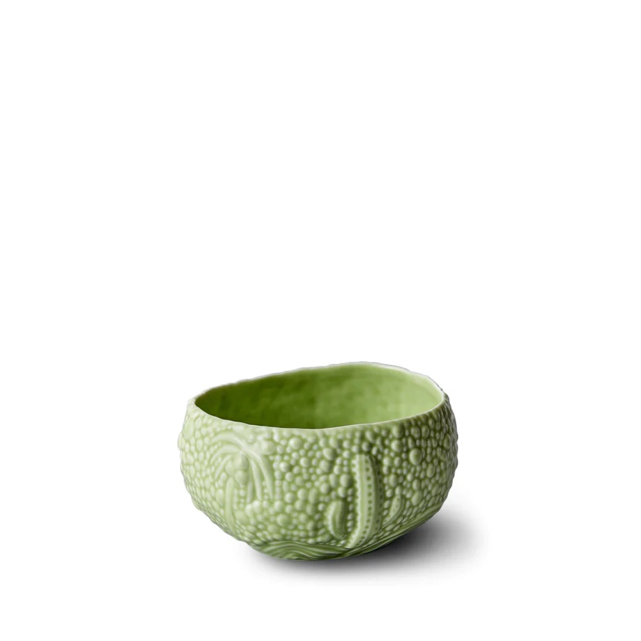 L'Objet, Haas Mojave Matcha, Desert bowl