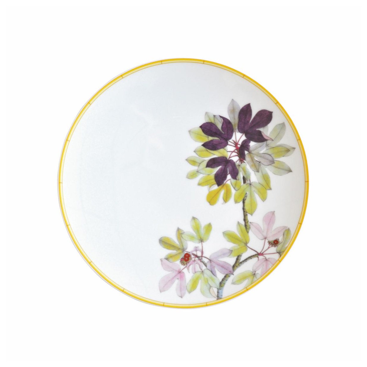 Bernardaud, Jardin Indien, Salad plate