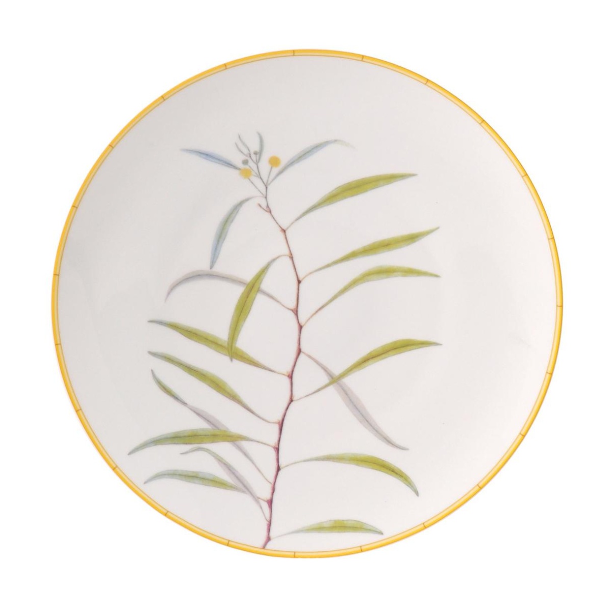 Bernardaud, Jardin Indien, Dinner plate