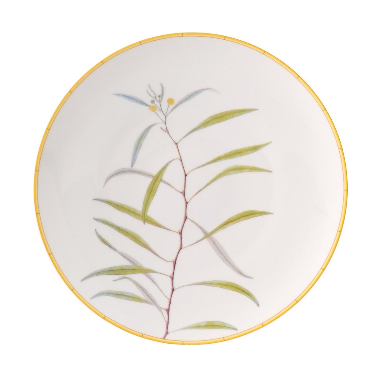 Bernardaud, Jardin Indien, Dinner plate