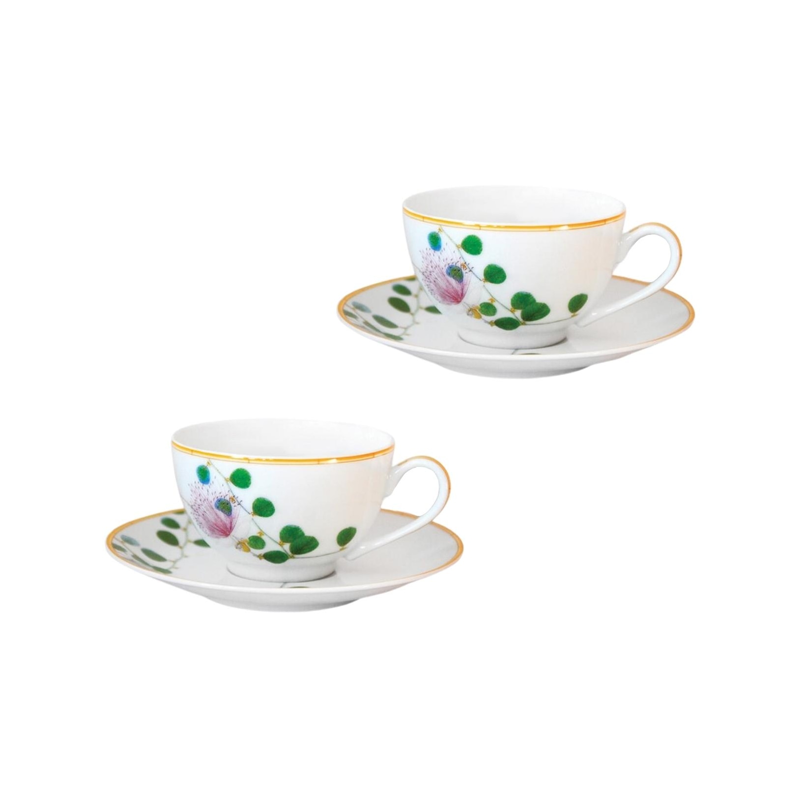 Bernardaud, Jardin Indien, Set of 2 tea cups and saucers