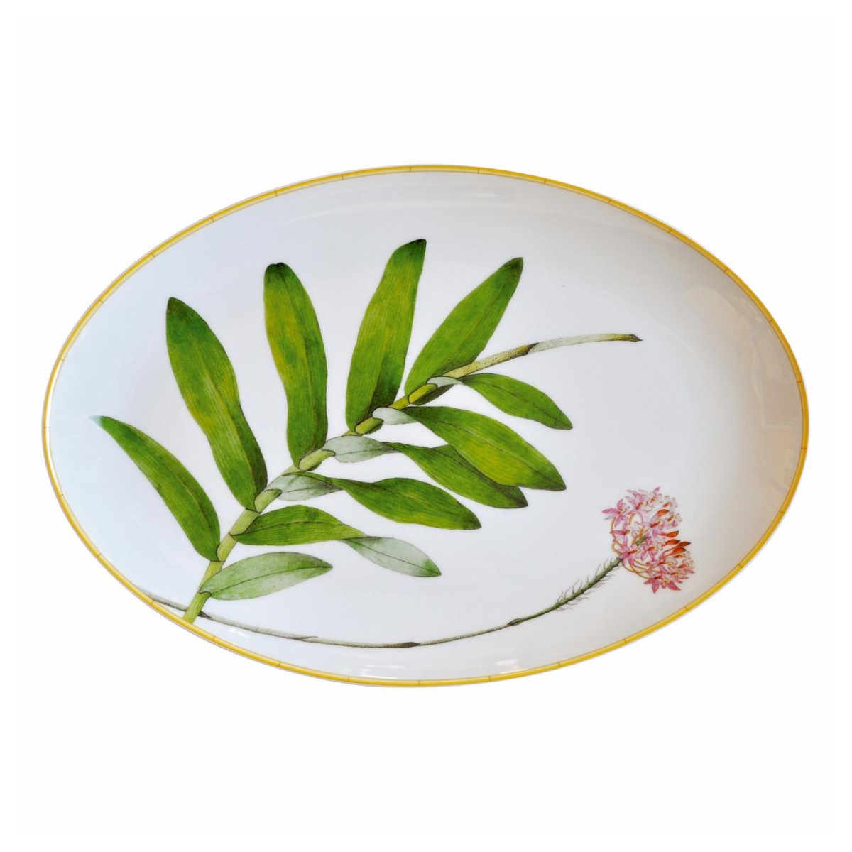 Bernardaud, Jardin Indien, Oval platter