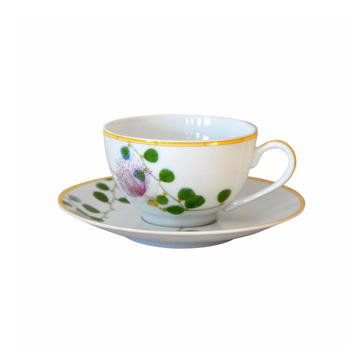 Bernardaud, Jardin Indien, Tea cup and saucer