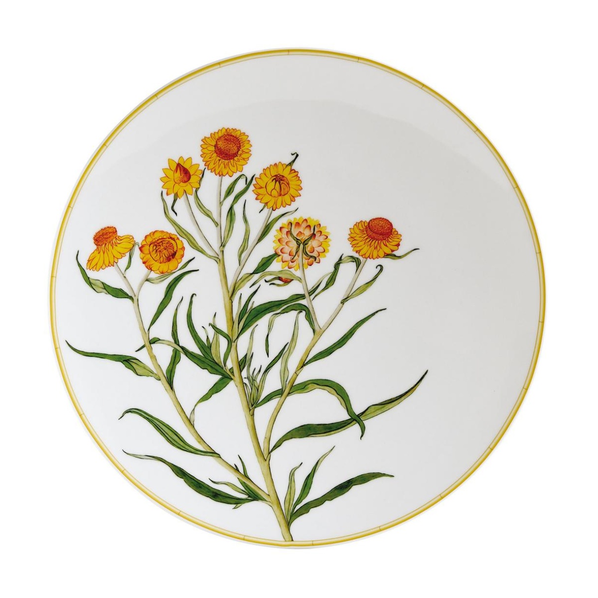 Bernardaud, Jardin Indien, Dinner plate