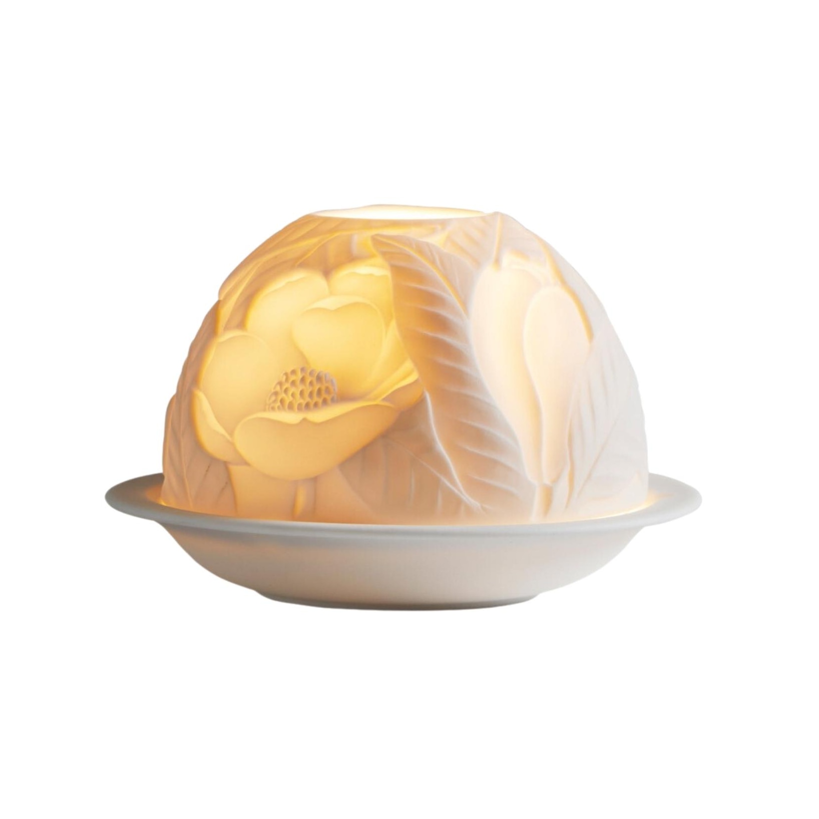 Bernardaud, Lithophanie, Magnolia blossoms LED