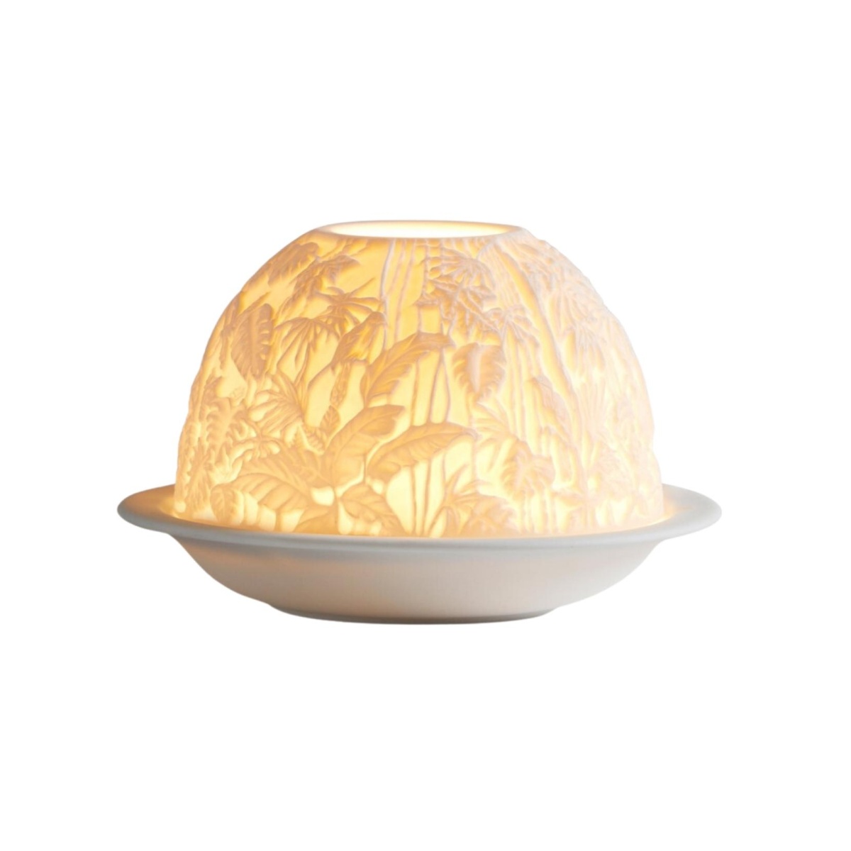 Bernardaud, Lithophanie, Borneo LED