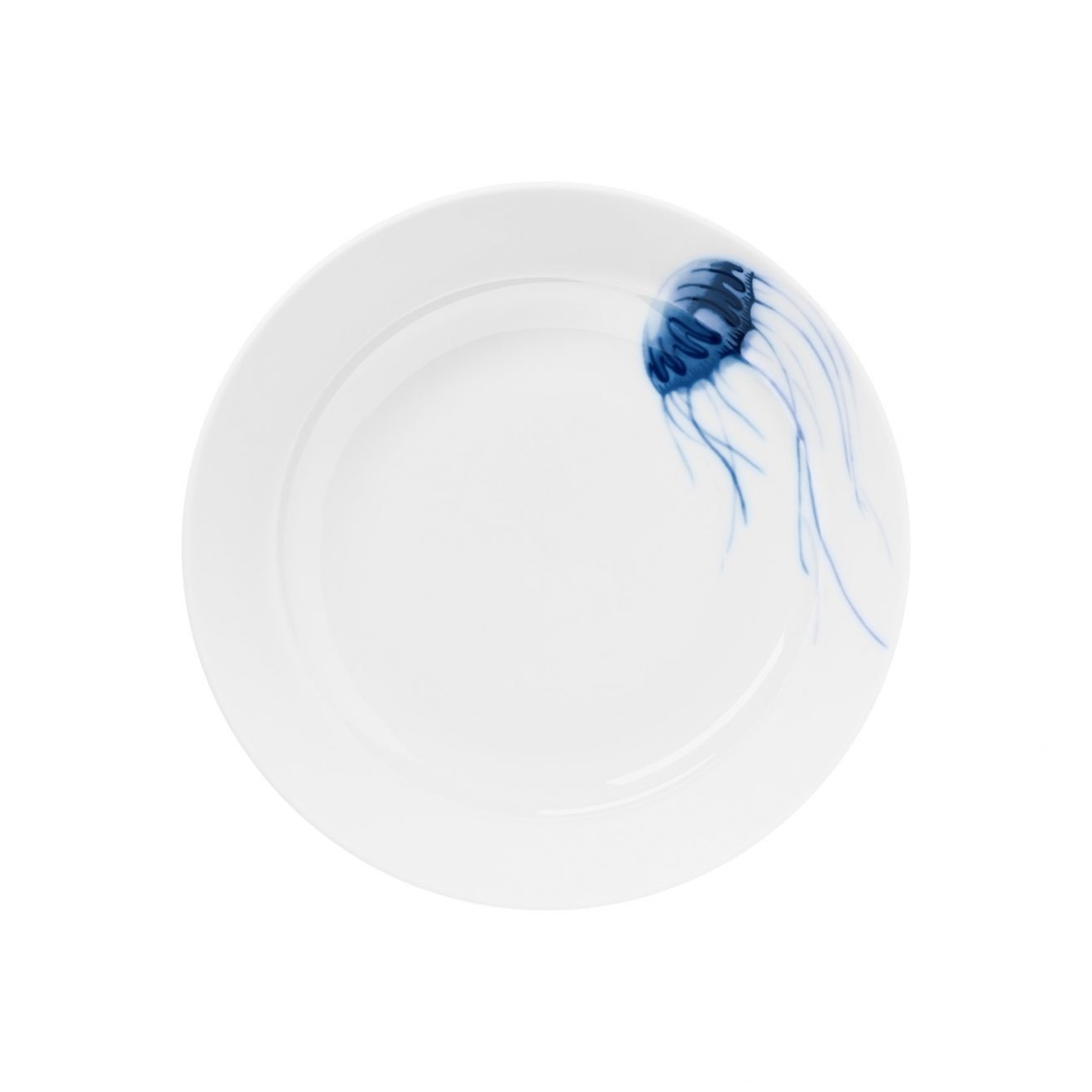 Hering Berlin, Ocean, Shallow plate, high rim