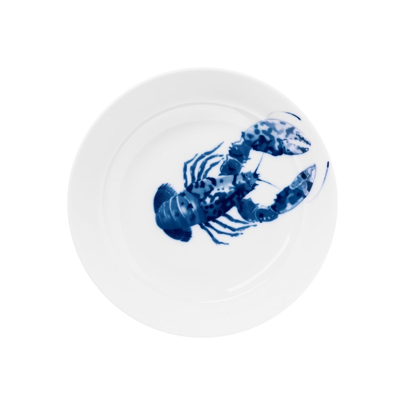 Hering Berlin, Ocean, Shallow plate, high rim