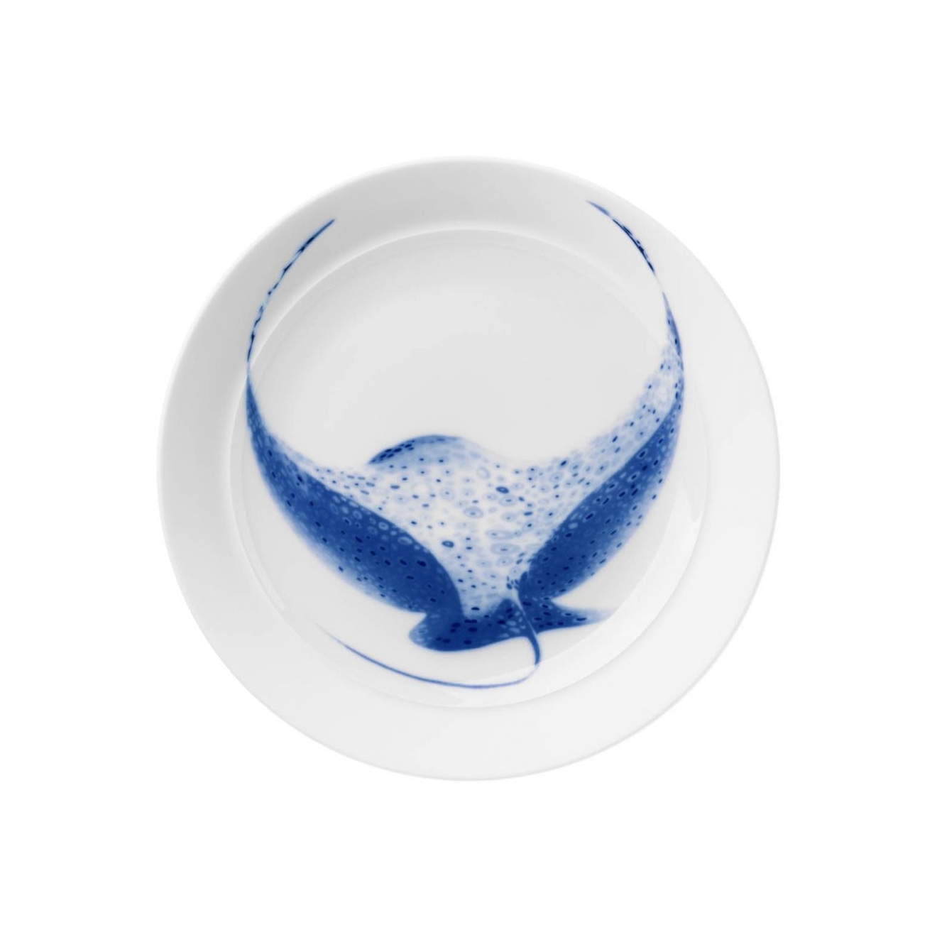Hering Berlin, Ocean, Shallow plate, high rim