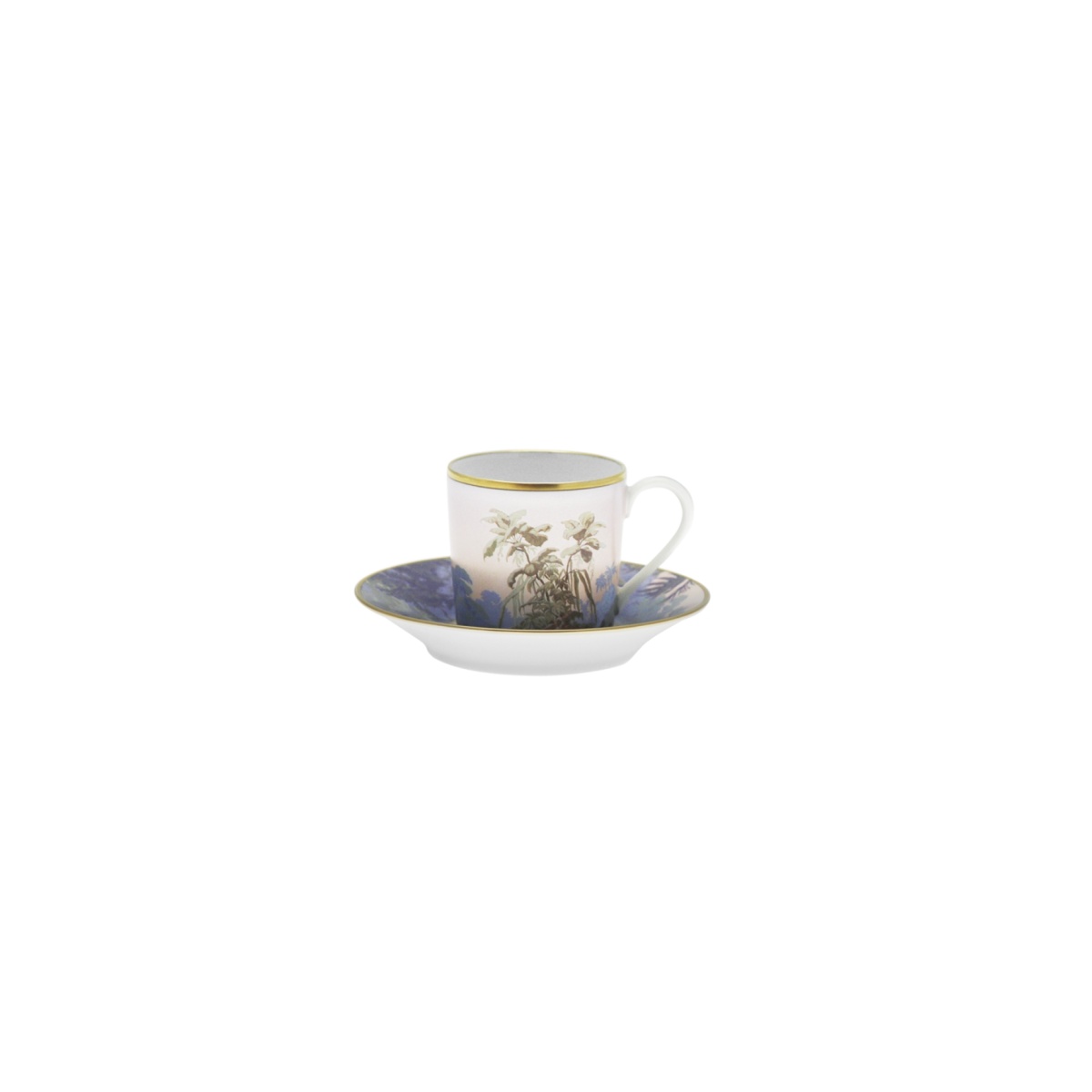 Haviland, Le Brésil, Coffee cup and saucer