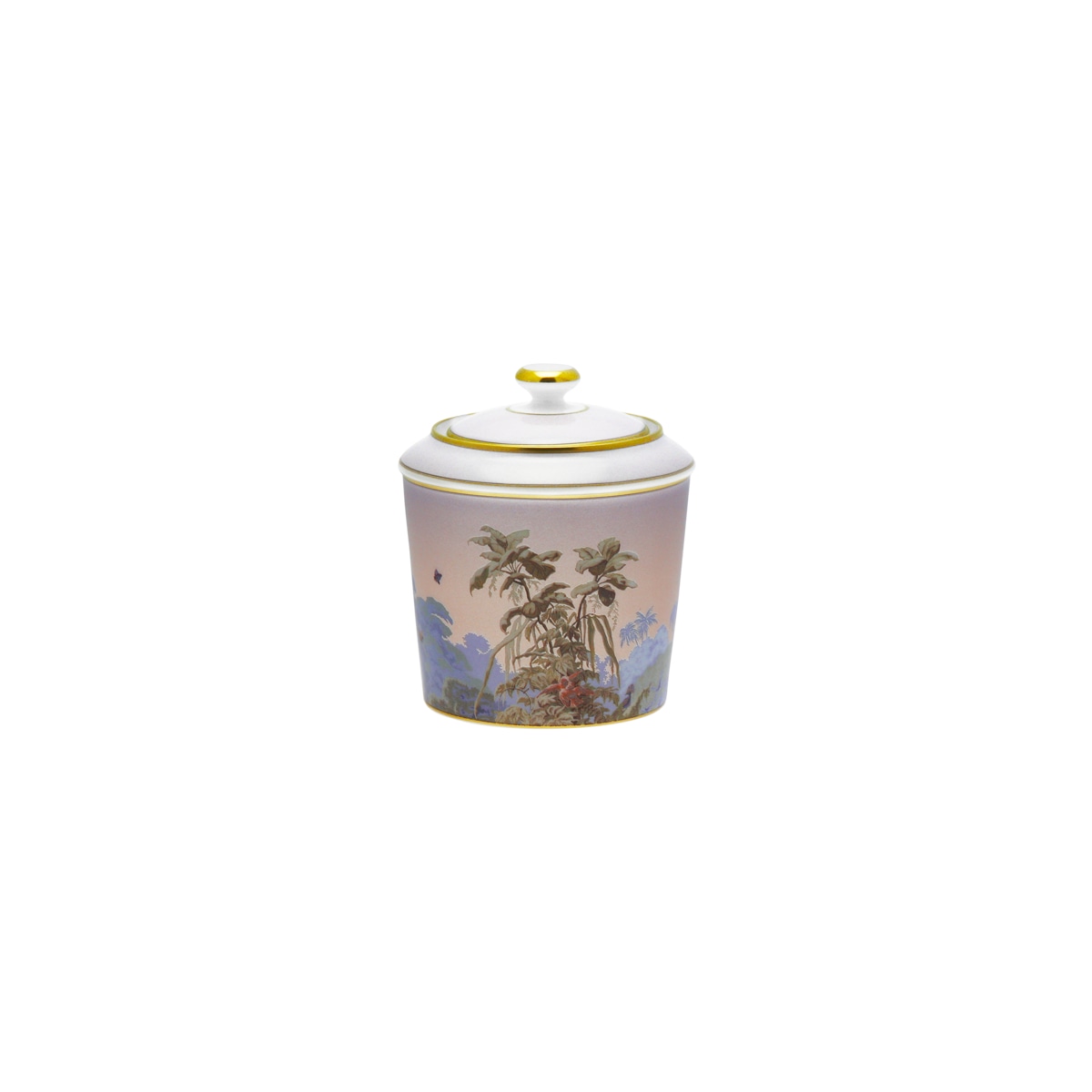 Haviland, Le Brésil, Sugar bowl