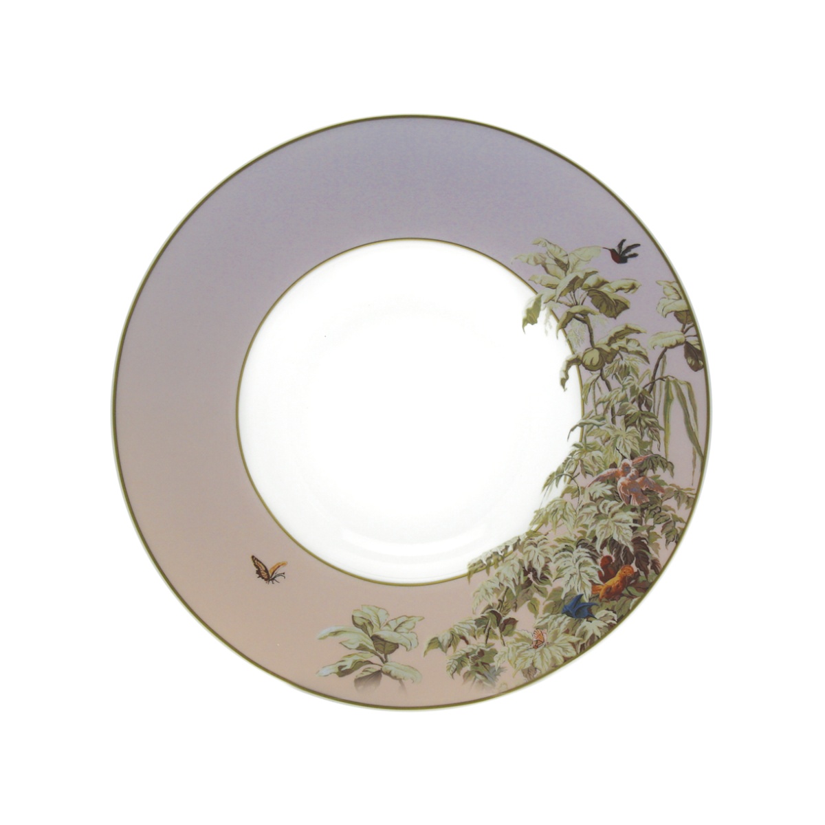 Haviland, Le Brésil, Rim soup plate