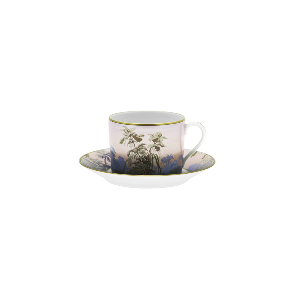 Haviland, Le Brésil, Tea cup and saucer