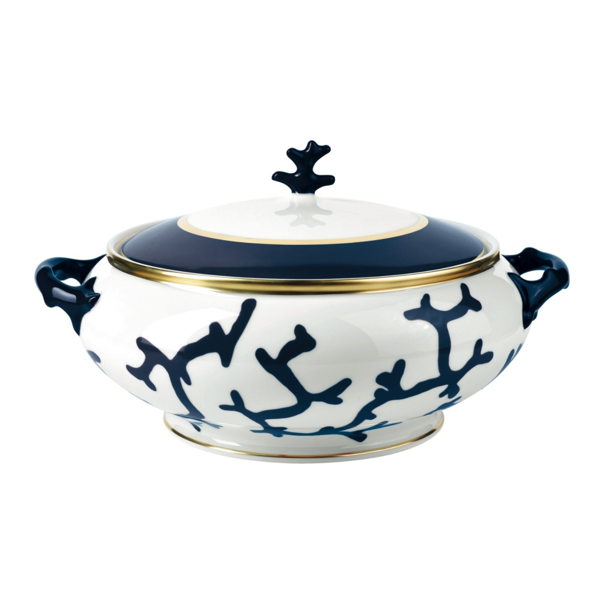 Raynaud, Cristobal marine, Soup tureen