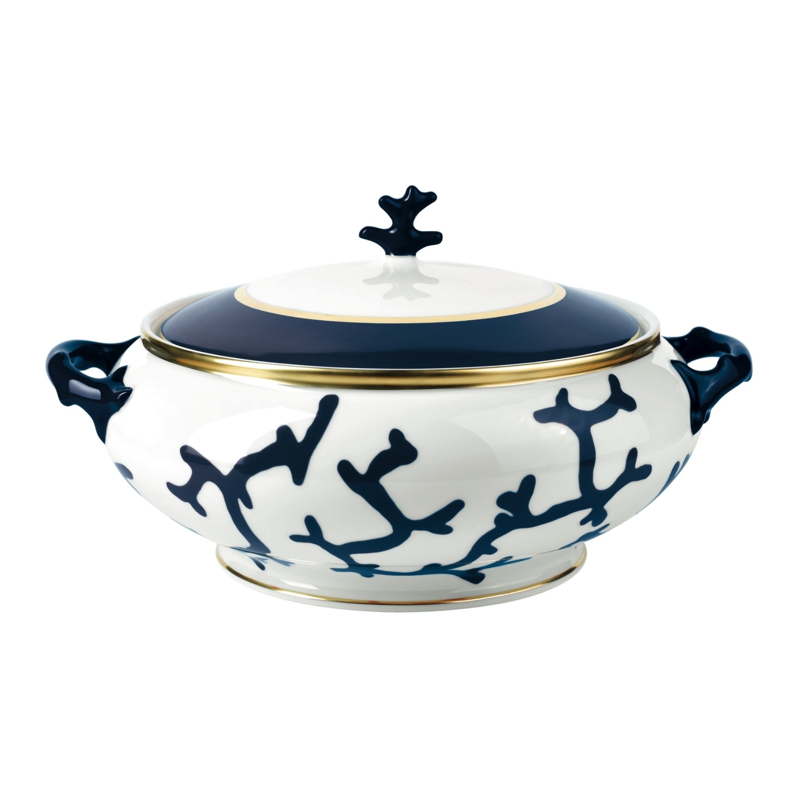 Raynaud, Cristobal marine, Soup tureen