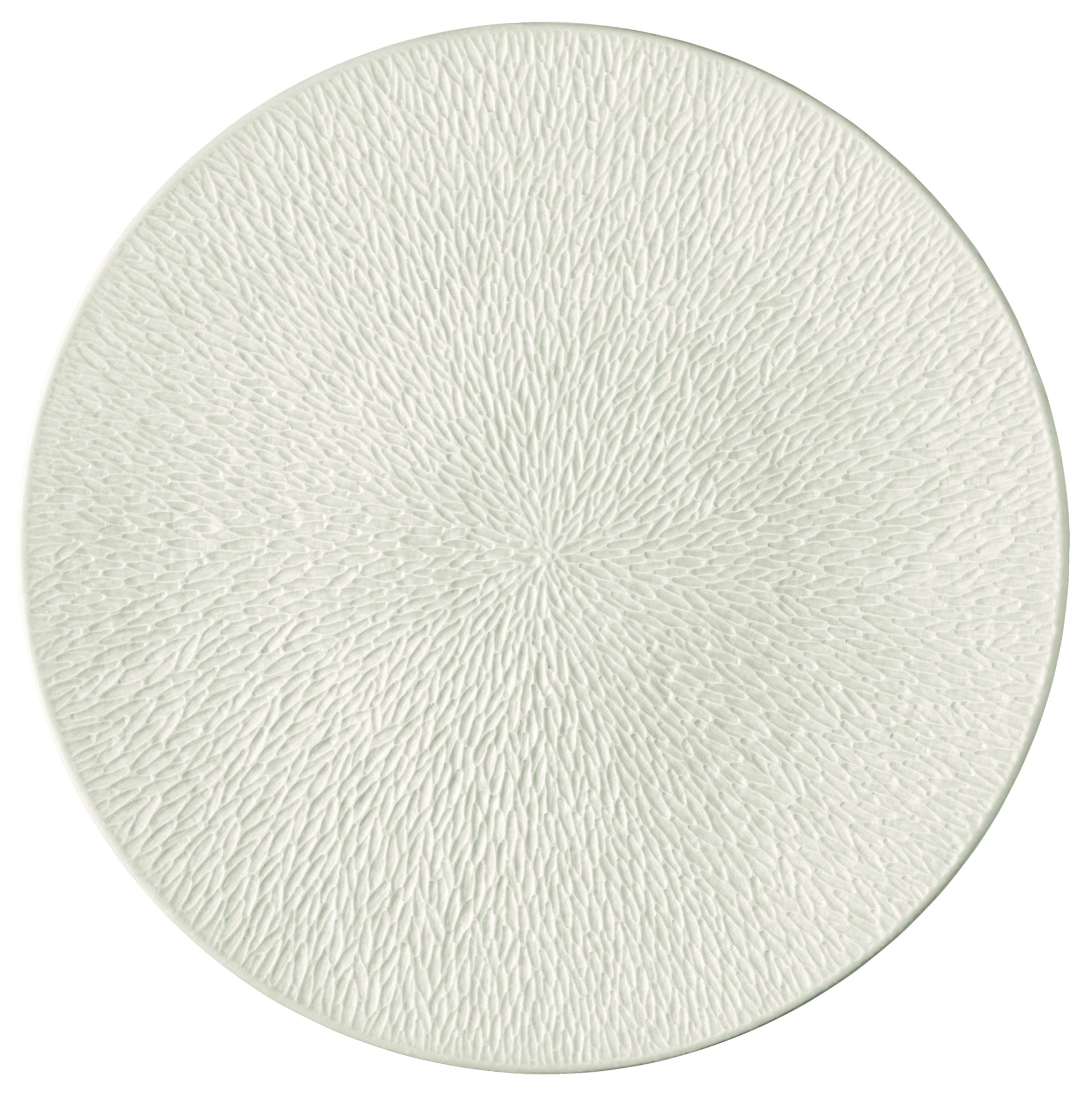 Raynaud, Minéral irisé Shell, Presentation plate