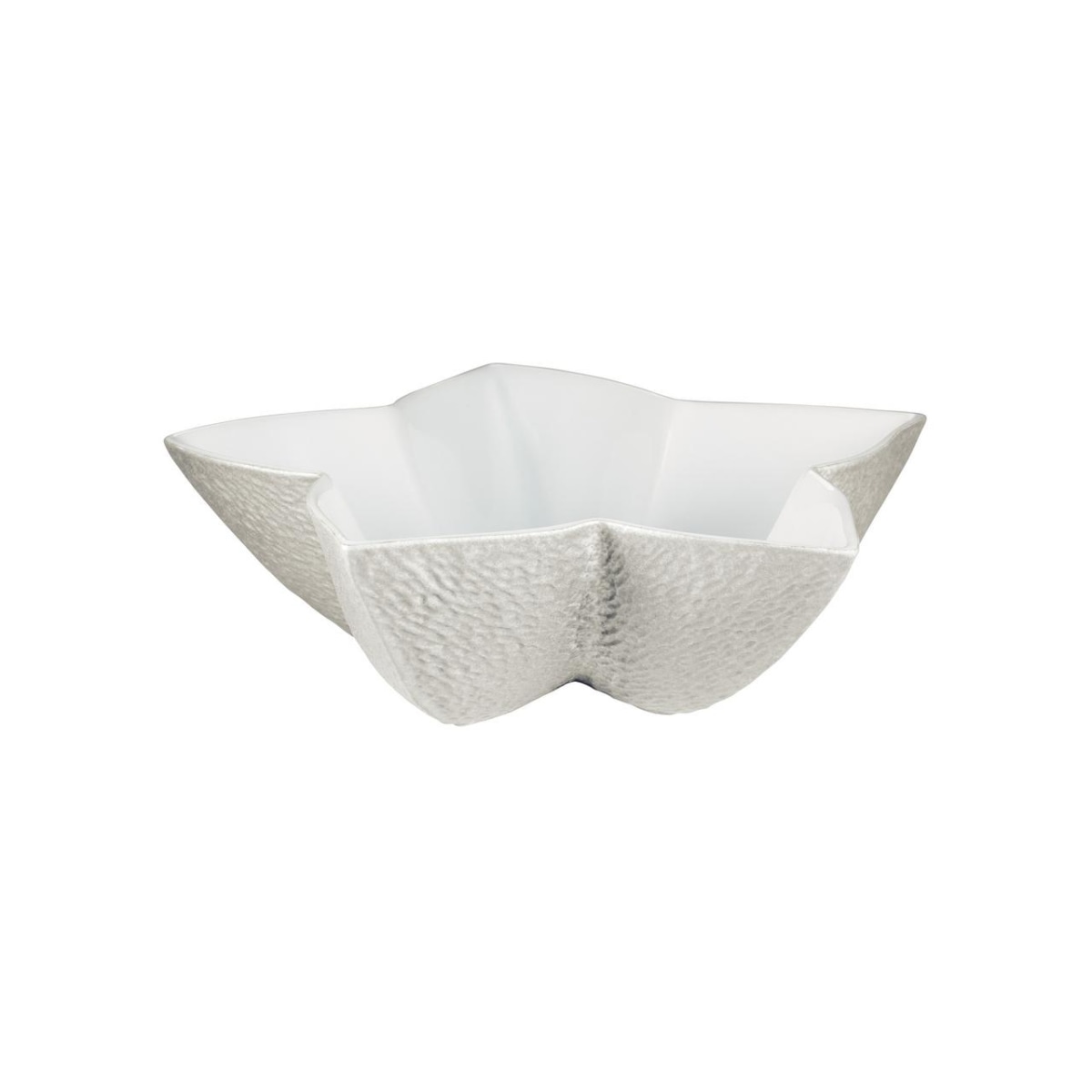 Raynaud, Minéral irisé Pearl Grey, Star cup