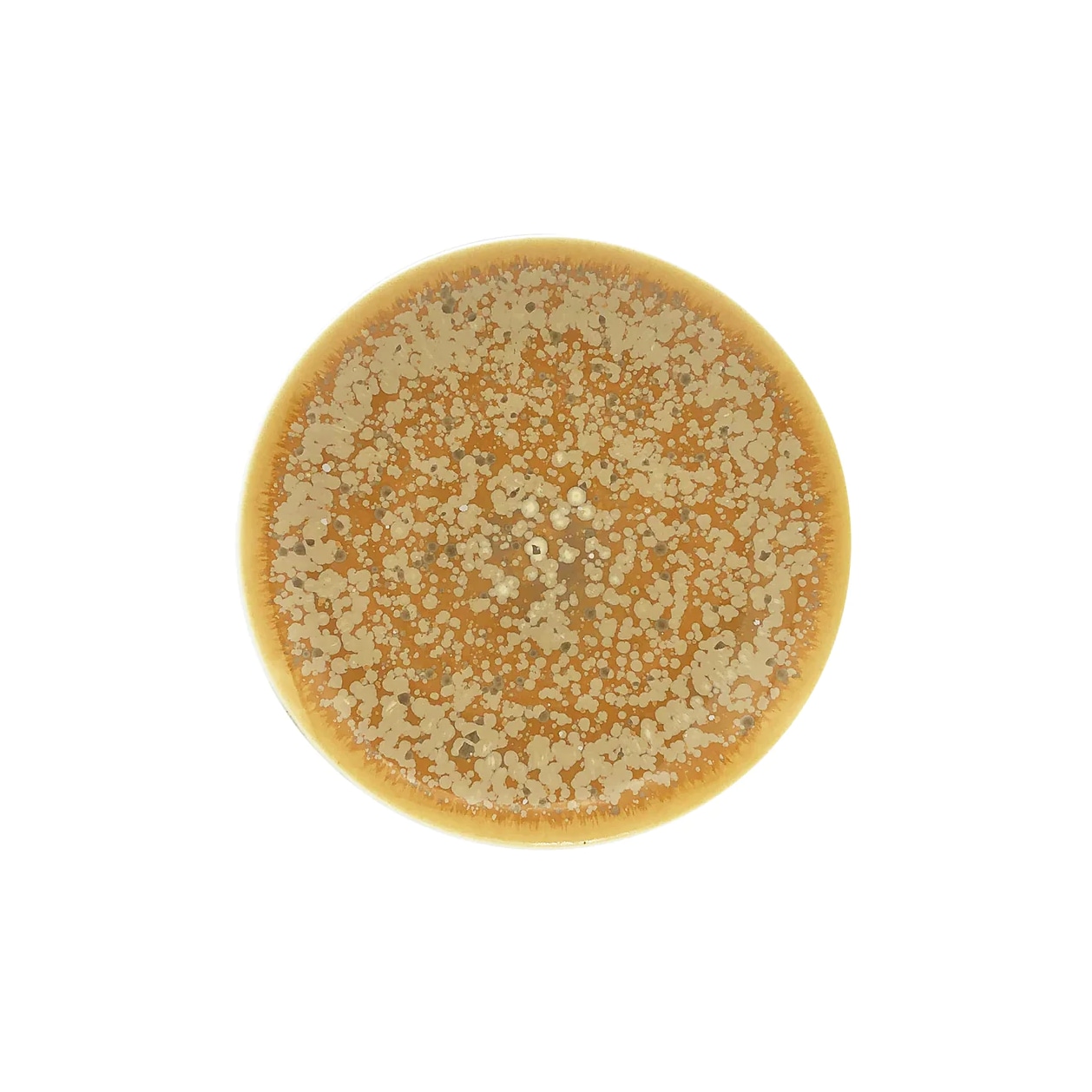 Jaune de Chrome, Song Ocre, Dessert plate