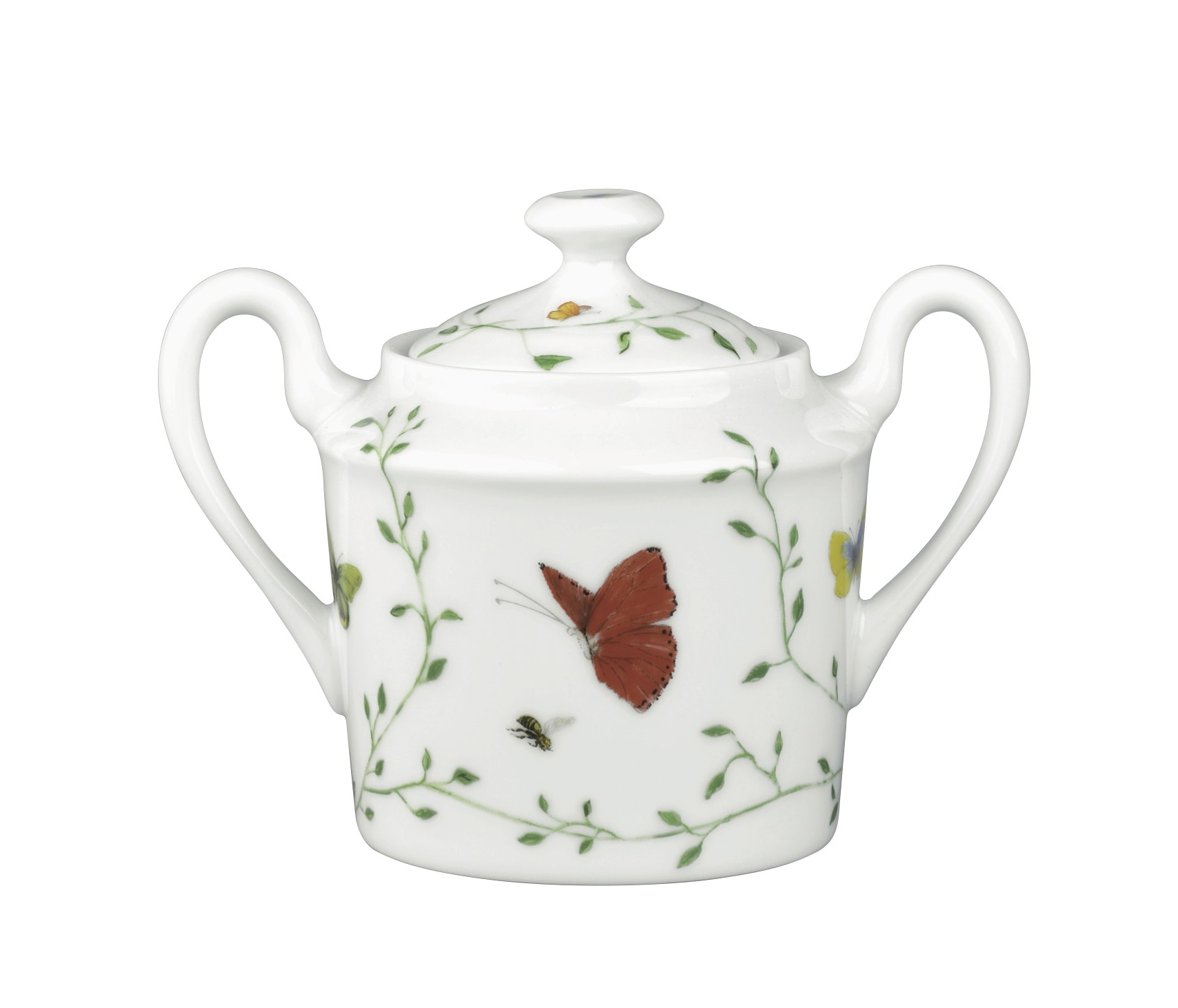 Raynaud, Histoire naturelle, Sugar bowl