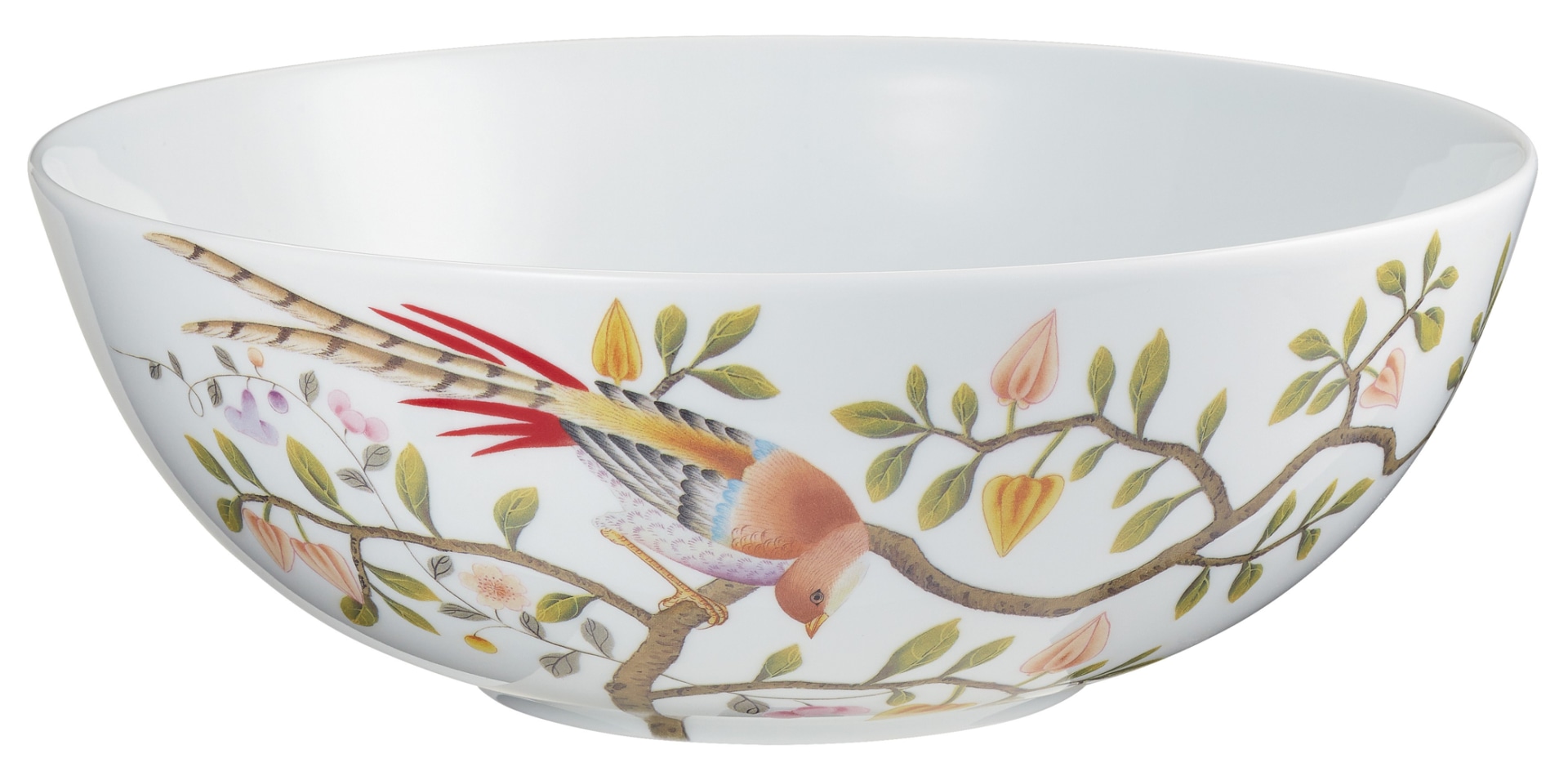 Raynaud, Paradis, Salad bowl