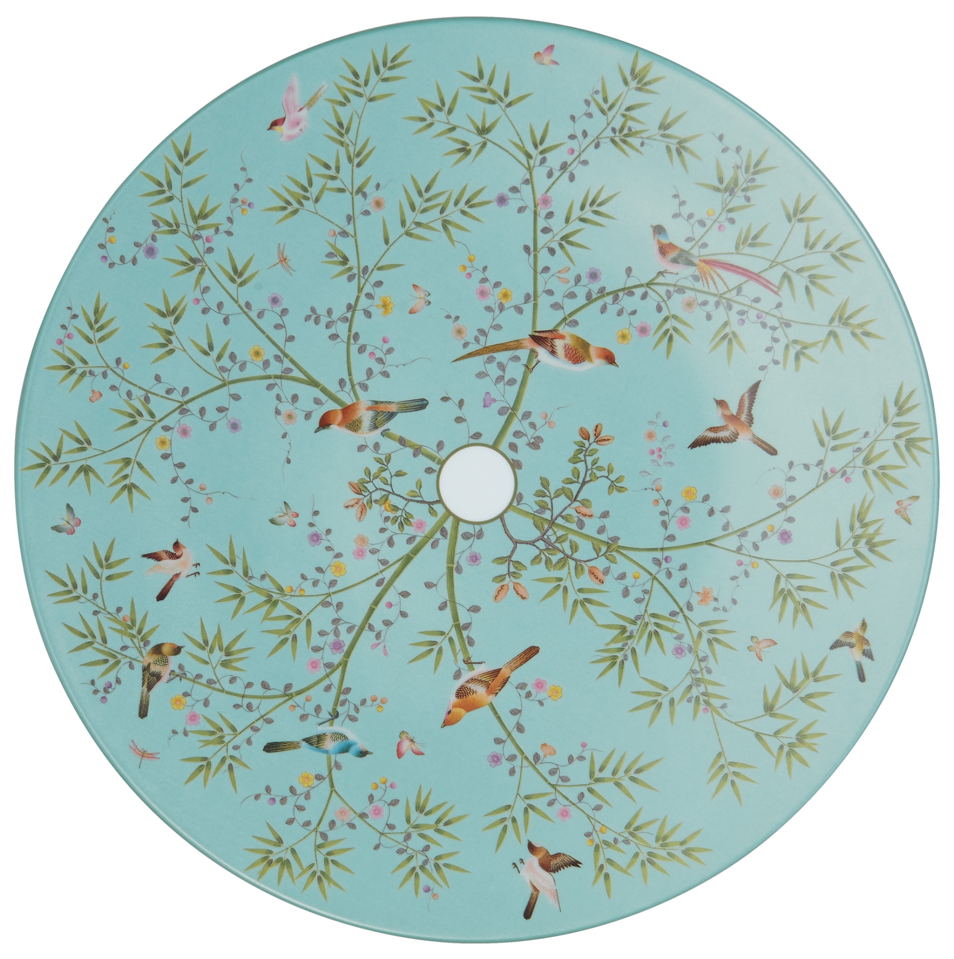 Raynaud, Paradis, Presentation plate