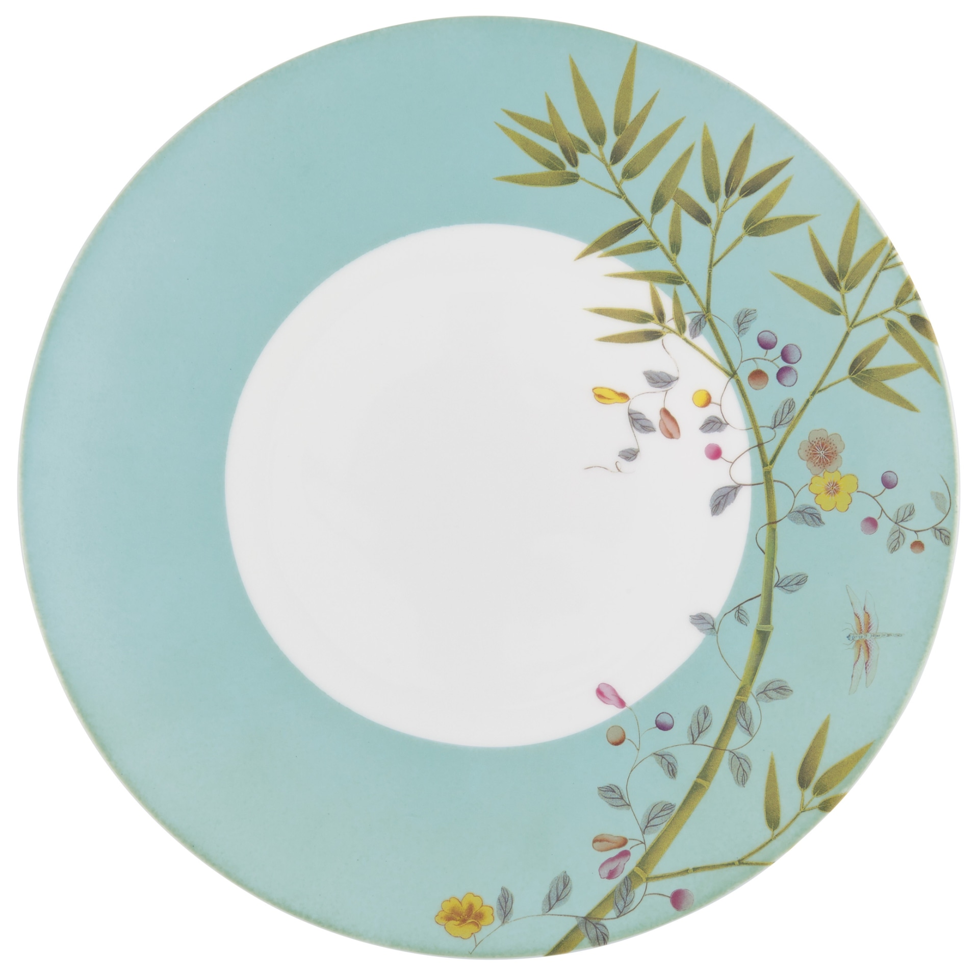 Raynaud, Paradis, Dinner plate