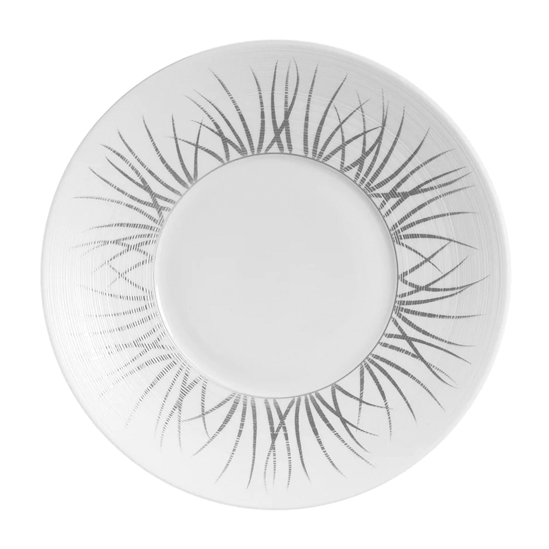 J.L Coquet, Hémisphère Tundra Platinum, 29cm plate