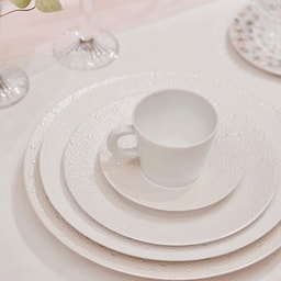 Bernardaud Ecume Perle