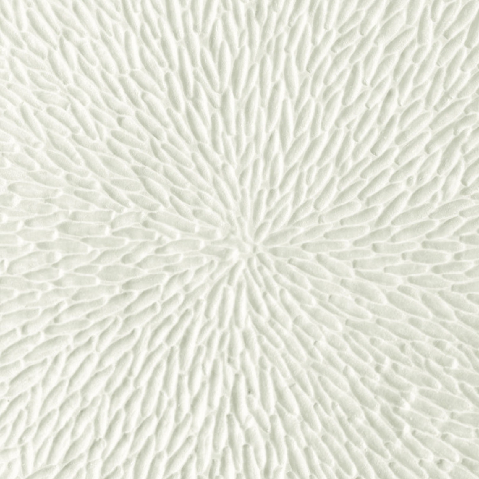 Raynaud, Minéral irisé Shell, Star cup