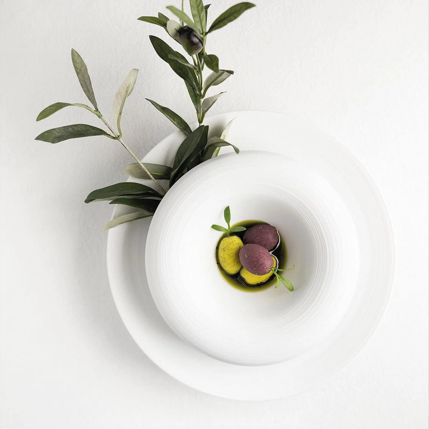 J.L Coquet, Hémisphère White Satin, Asian spoon stand